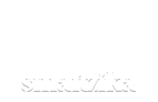 smartzika.com